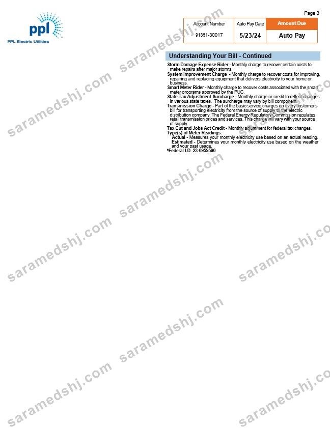 USA Pennsylvania PPL electric utility bill, 3 pages 2